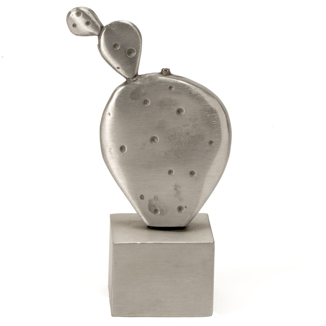 Sabra (Cactus) Magnet-5