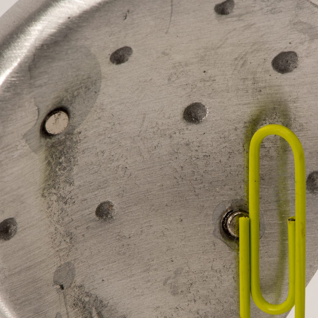 Sabra (Cactus) Magnet-3