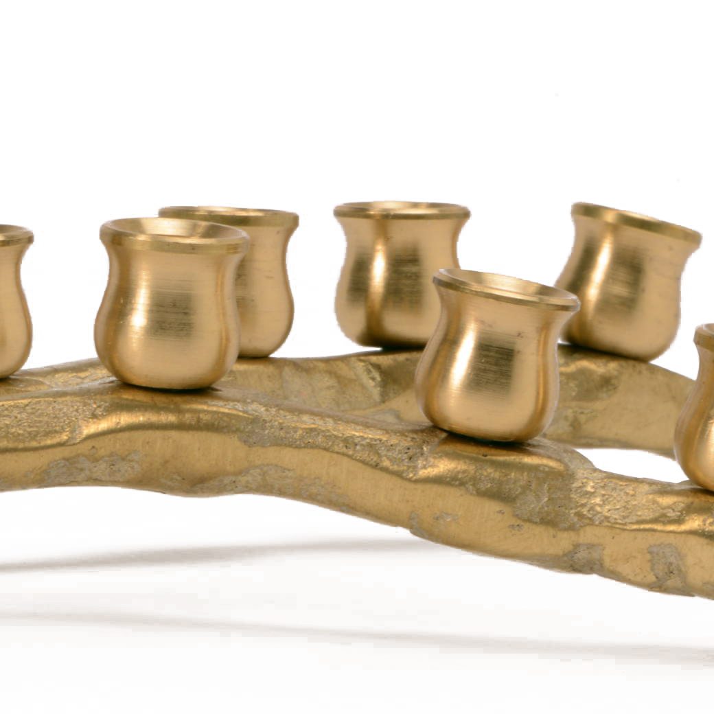 חנוכייה בעיצוב ענף-3