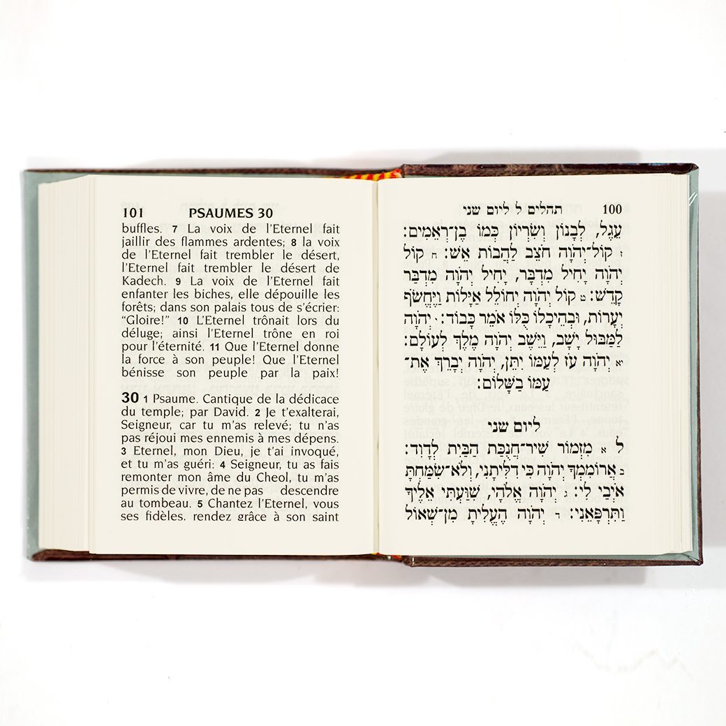 Pocket Tehilim - French-Hebrew-3