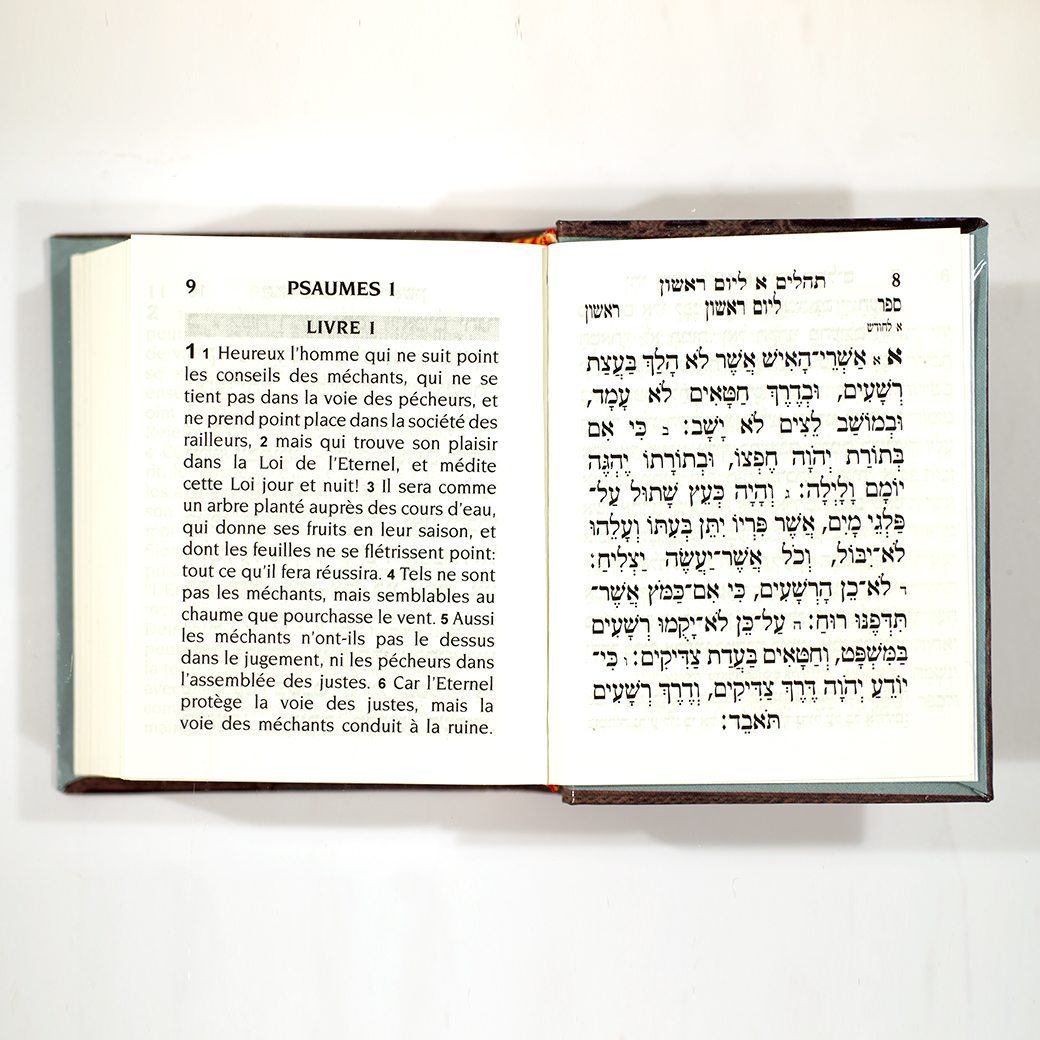 Pocket Tehilim - French-Hebrew-4