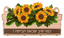מתלה קיר - אדנית חמניות "כמה טוב שבאת הביתה!"