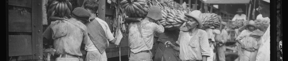 Banana King: The Story of Sam Zemurray