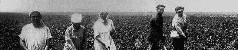 Jewish Kolkhozes: The Jewish Settlement in Southern Ukraine That Ended in Tragedy