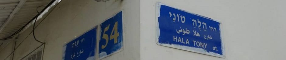 הלו, טוני: המחנכת המיתולוגית שהביאה לארץ תיכון חדש