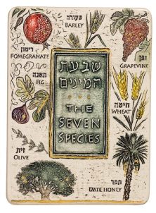 אריח קרמיקה - שבעת המינים